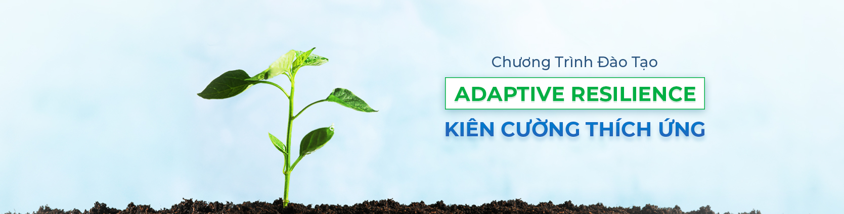 Mindful Leadership Vietnam
