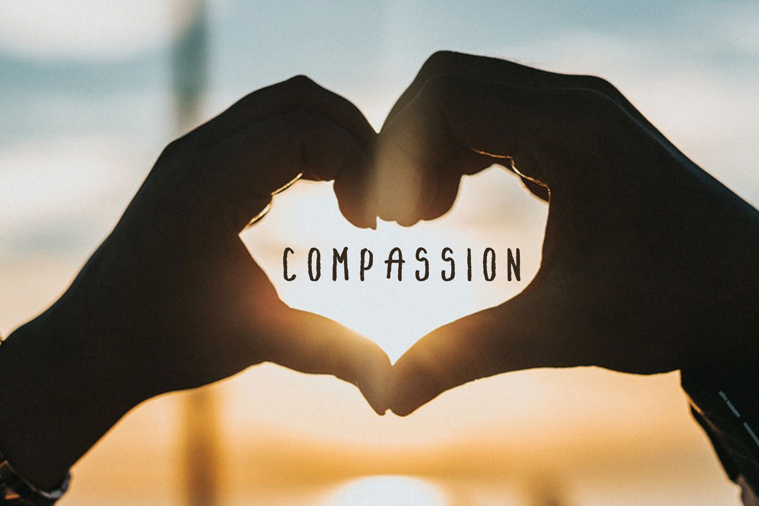 YOU NEED BOTH PASSION AND COMPASSION TO LEAD