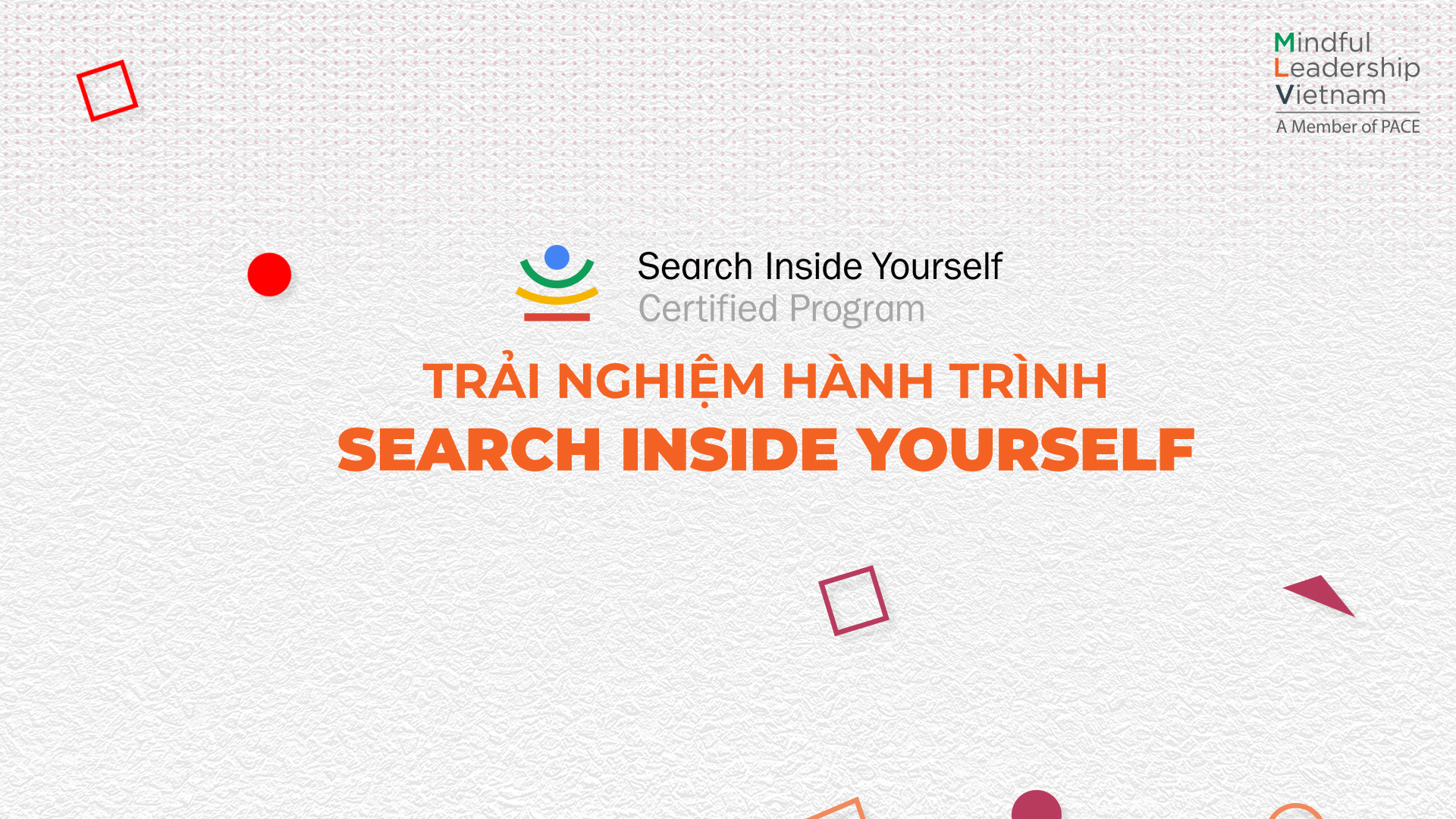 TRẢI NGHIỆM HÀNH TRÌNH LÃNH ĐẠO TỪ BÊN TRONG/ SEARCH INSIDE YOURSELF