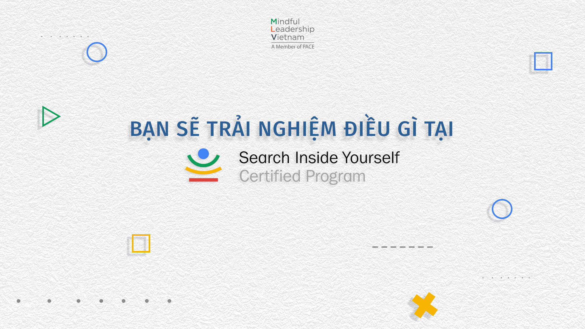 NHỮNG TRẢI NGHIỆM TẠI CHƯƠNG TRÌNH SEARCH INSIDE YOURSELF