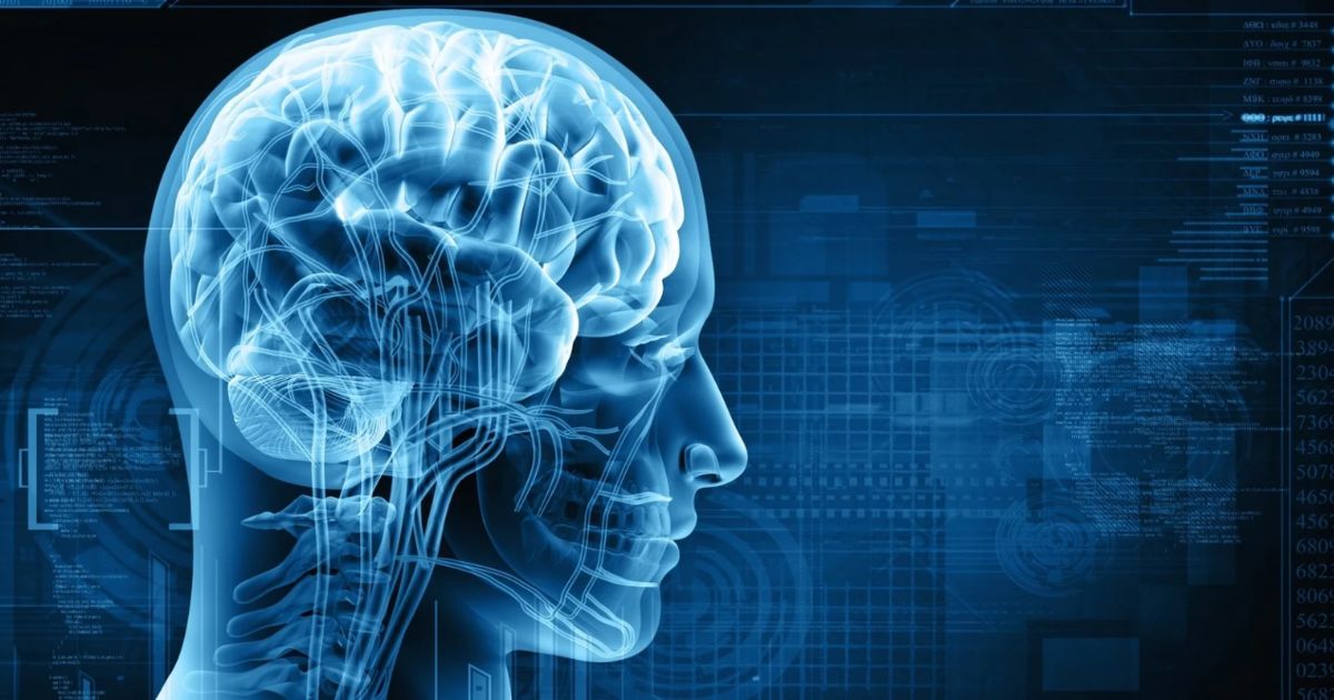 Trí tuệ cảm xúc (Emotional Intelligence) là gì? Cách nâng cao EI