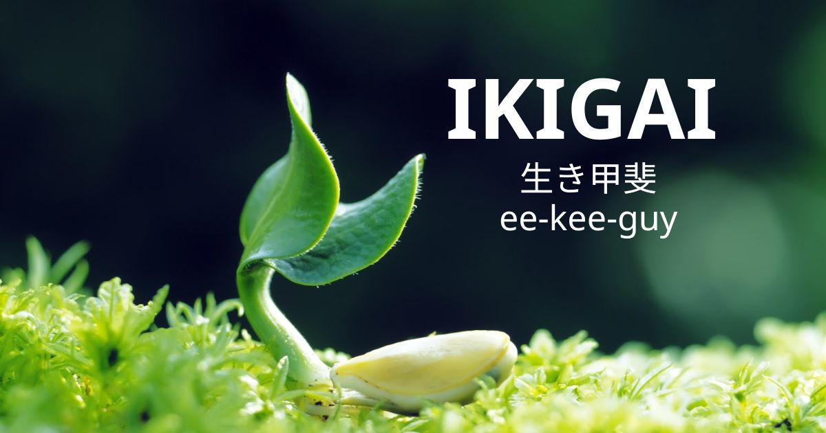 Ikigai là gì? Lợi ích và cách xác định Ikigai chính xác